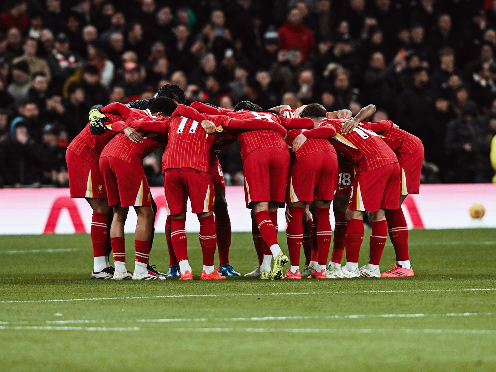 实现世界杯 实现世界杯